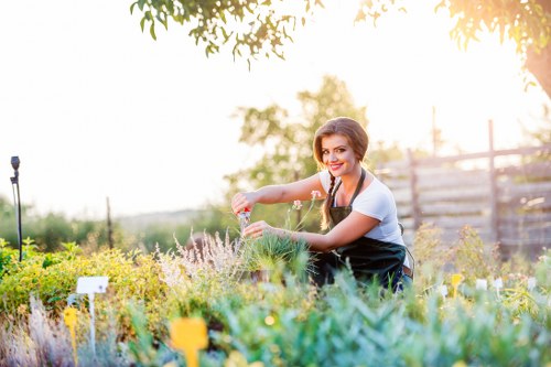 Professional lawn mowing service in Stoke Newington