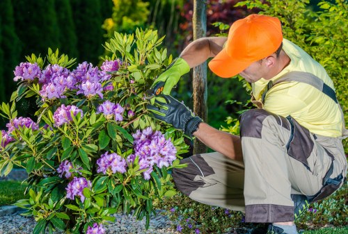 Payment options list for hedge trimming services