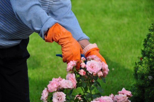 Close-up of trimming tools and protective gloves used for hedge maintenance in Stoke Newington