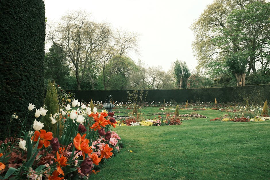 A vibrant garden scene within Clissold Park, showing a lush flowerbed filled with blooming tulips and primroses in shades of red, yellow, and pink. The flowers are densely planted, with some tulip pet